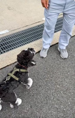 ガードマンのおじさんと出会ったテオくん