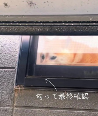 ニオイを嗅いで最終確認