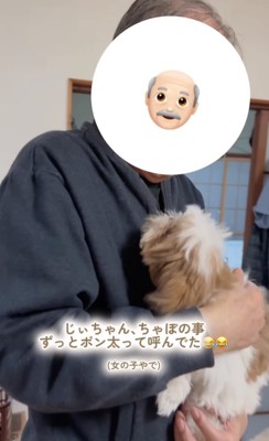 抱っこされる犬