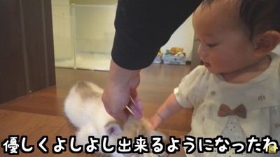 頭ポンポンでご挨拶！