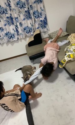 毛布の引っ張り合いに参戦するルッチくん7