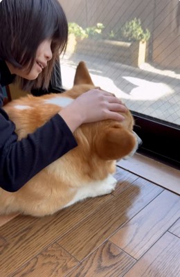 ジノくんを撫でるお姉ちゃん