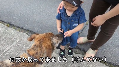 仲良しで尊い♡