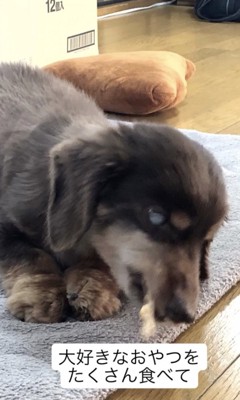 出逢えてよかった