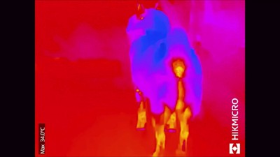 お尻と足が温かそう…！