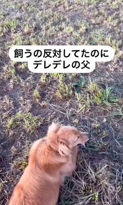 オリーブちゃんとお父さん10