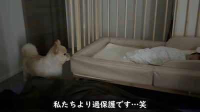 また赤ちゃんの様子を確認