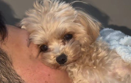 パパと密着して幸せそう