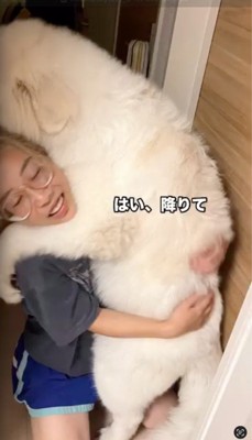 犬を抱き上げる女性