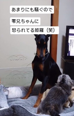 うつむく姫羅ちゃん