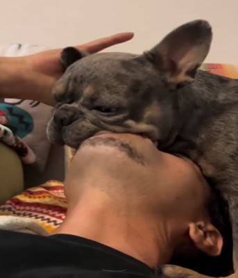 あごを吸われる犬2