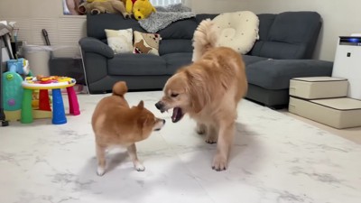 ワンプロ開始！！