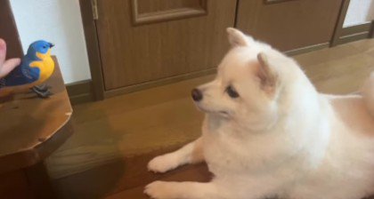 試しに触ってみると…