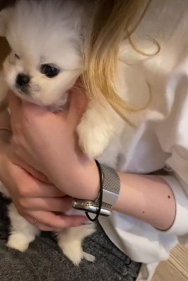ぼんやり眠そうな表情