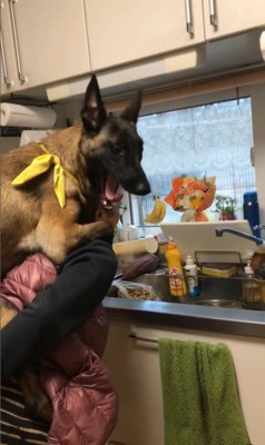 おんぶしてもらうウルルちゃん&シオンちゃん9