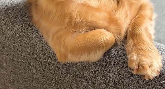 手のアップ