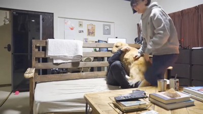 夫婦の間に割り込む犬