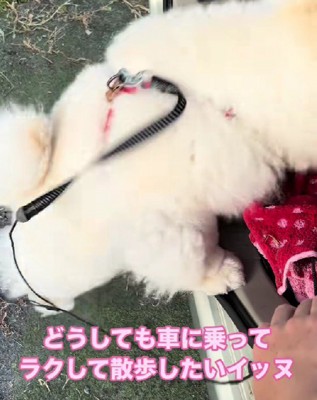 なかなか乗れない…