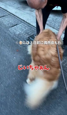 ピノくんとご夫婦の再会6