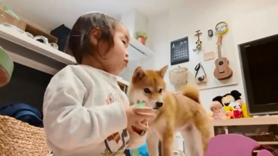 モモ子ちゃんと花子ちゃん