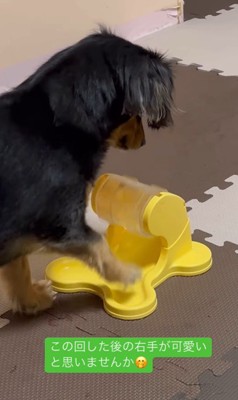 ごはんが出るオモチャで遊ぶれん君5