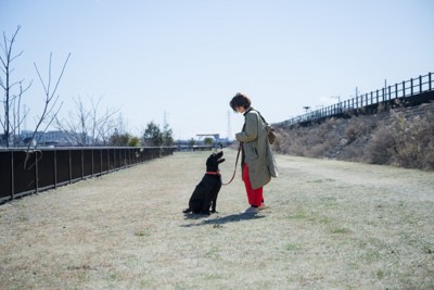 屋外で見つめ合う女性と犬