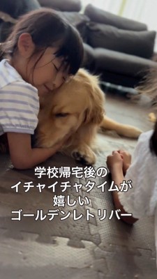 女の子に抱きしめられる犬