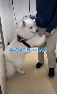 診察台を降りたらへっぴり腰に