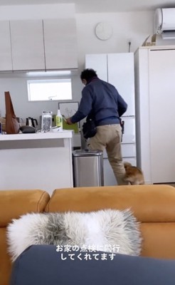 ピッタリとついて行きます