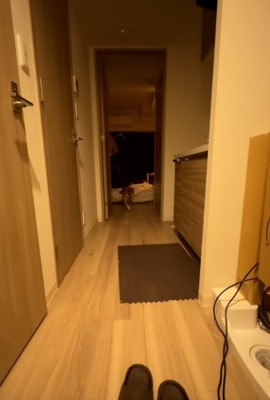 部屋の奥から走ってくるイブキくん