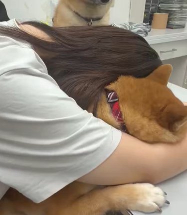待ち時間