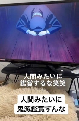 アニメ鑑賞中!!