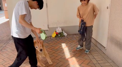 足元にいる犬を撫でる男性