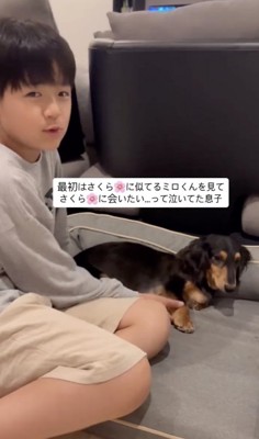 深いペットロスだったご家族