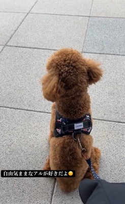 アルくんとの出会い9