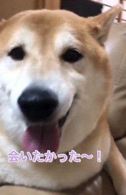 テンションが高いお姉ちゃん