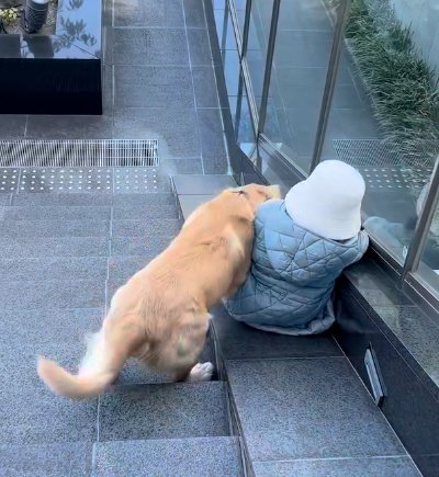 滑る子供と追いかける犬