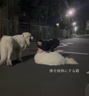 液体化して地面に張り付く術