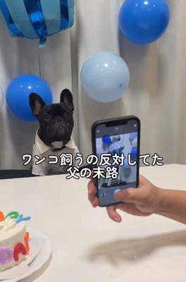 犬を飼うことを反対していたお父さん