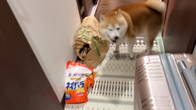 廊下を猛ダッシュ!!