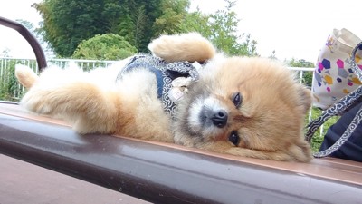 いつものルーティン