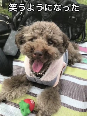 徐々に笑顔を見せてくれるように