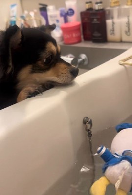 じーっと見つめています