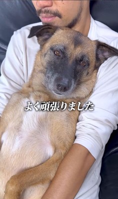 動物病院でビビりまくるアキちゃん⑩