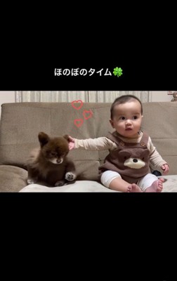 あんこちゃんと赤ちゃん5