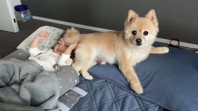 朝から仲良し♪