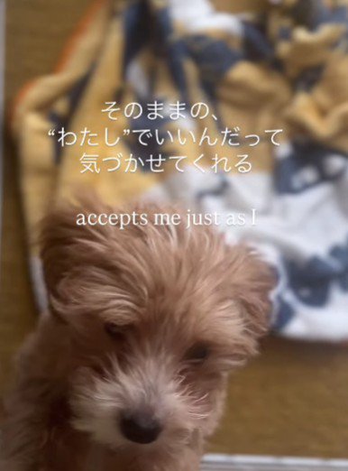 ありのままの自分でいいんだ