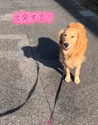 「出発する？」