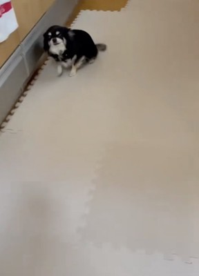 もう止まれません！