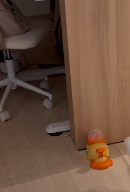 犬用のおもちゃをプレゼント